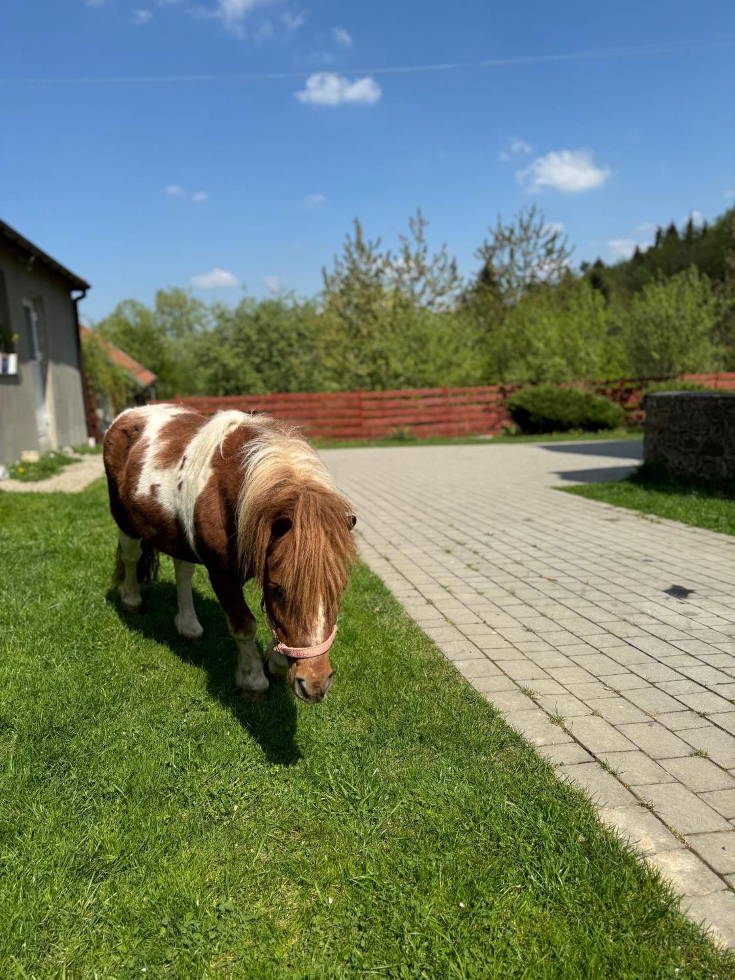 Agroturystyka U Babci Czchow Eksteriør billede